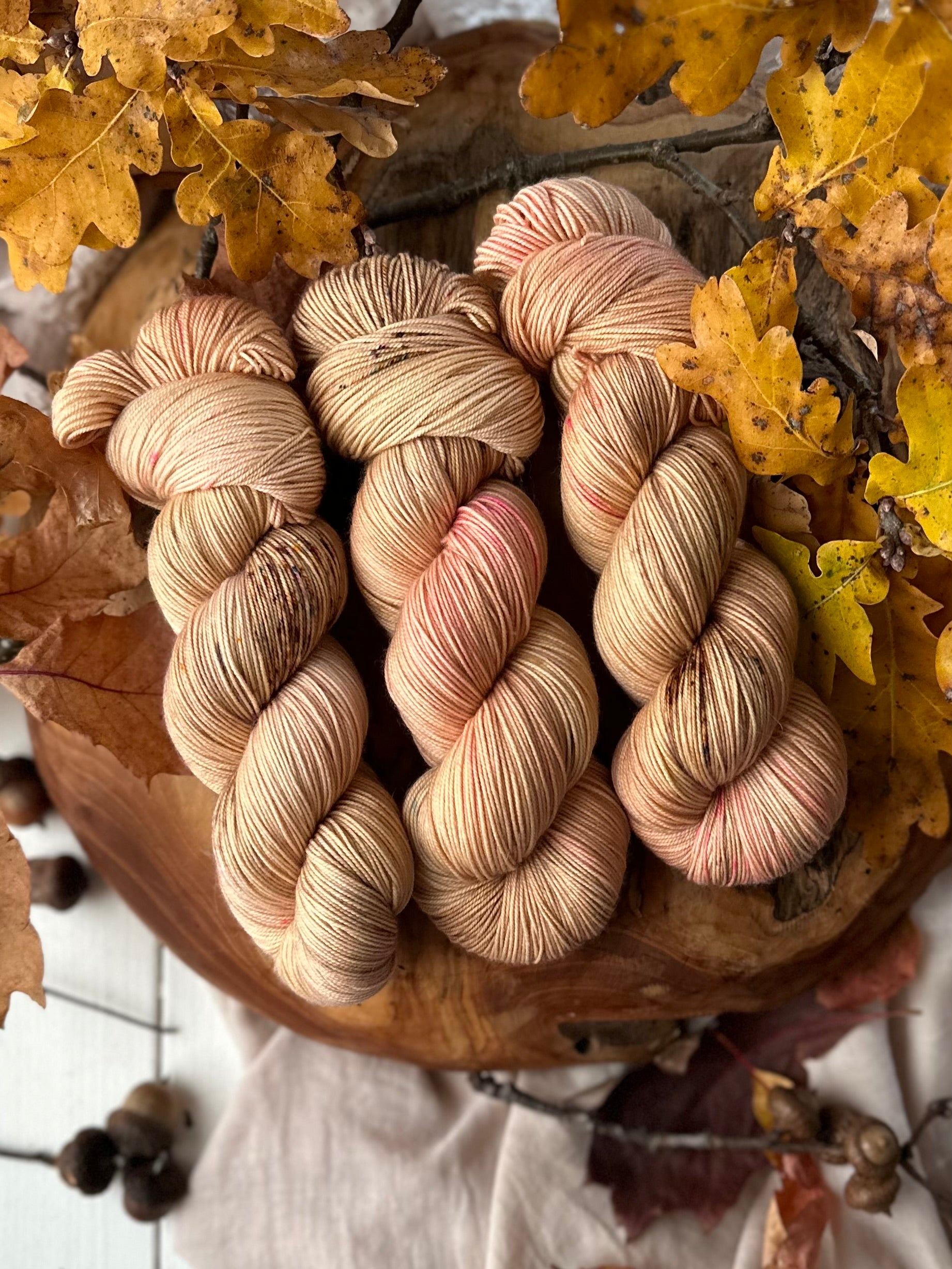 CozyBio - Acorns